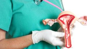 طبيبة توليد وأمراض نسائية