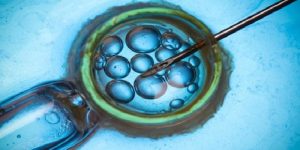 12 Soruda Tüp Bebek