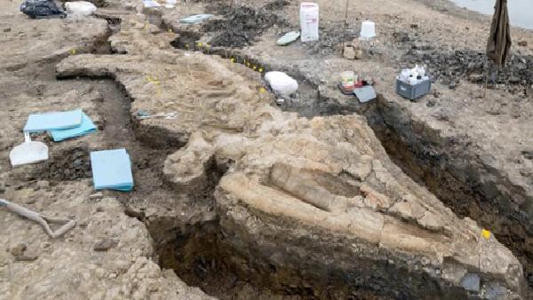 180 milyon yıllık devasa deniz ejderhası fosili bulundu