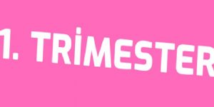 1.Trimester