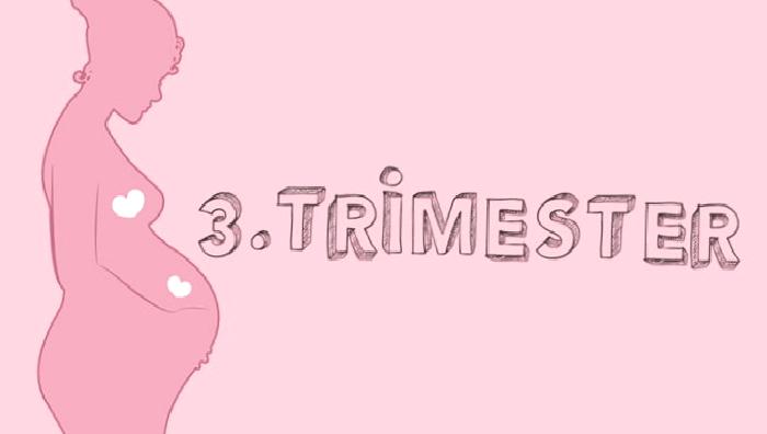3.TRİMESTER (Üçüncü 3 ay ) 28 – 40 HAFTA ARASI