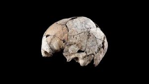 5300 yıllık kafatası, bilinen en eski kulak ameliyatına dair izler taşıyor