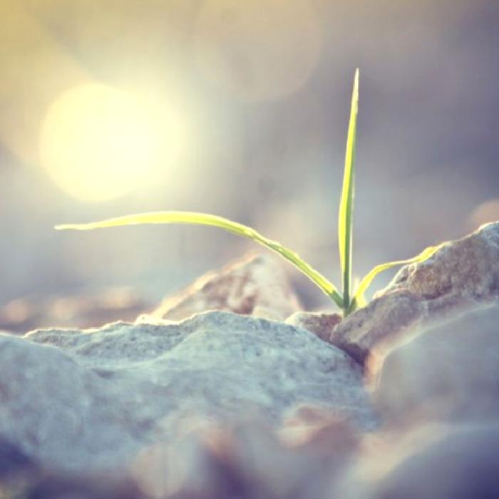 ‘’Ben deli miyim’’ ‘’Kendi kendime hallederim’’