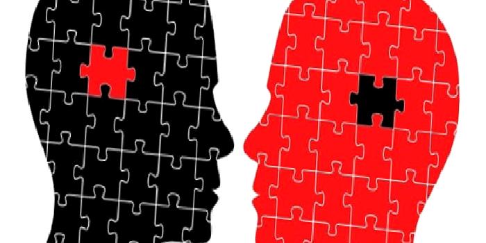 Bir Anlama Sanatı Olarak Psikiyatri