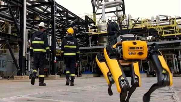Boston Dynamics’in Spot robotu Tüpraş’ta işe başladı