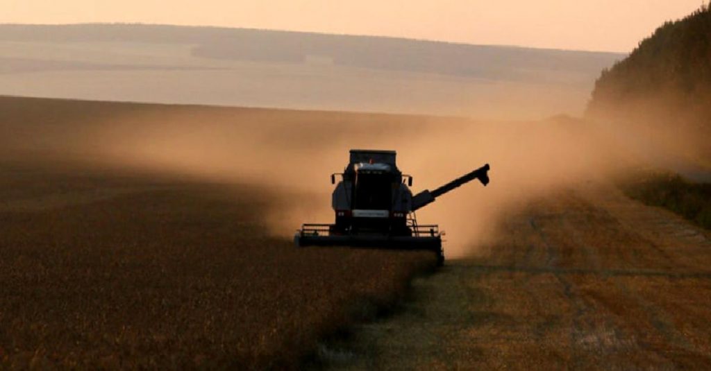 Buğday fiyatları rekor seviyenin yüzde 25 altında seyrediyor