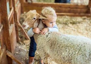 Çocuklar kurban kesimini görmeli mi?