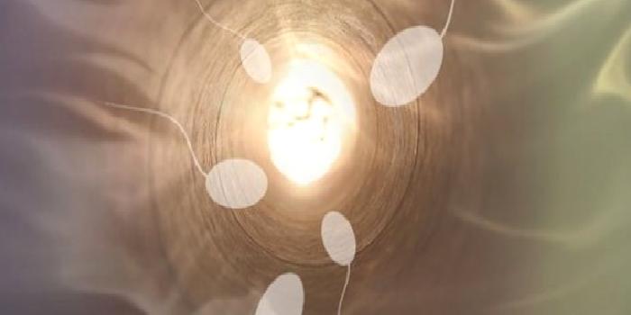 Doğurganlık – Fertilite