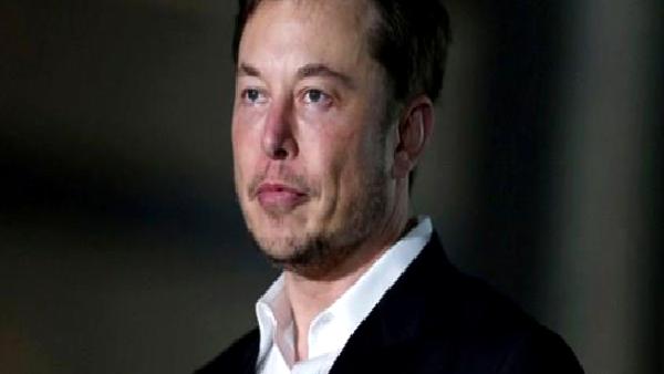 Elon Musk, kripto para dolandırıcılığıyla ilgili uyardı