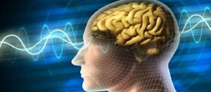 EMDR