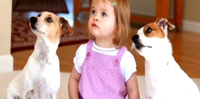 Evde Hayvan Beslemenin Çocukların Gelişimine Katkıları