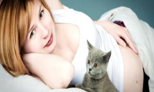 Gebelik ve Toksoplazma