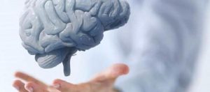 Hobiler Düşündüğümüzden Çok Daha Fazlası