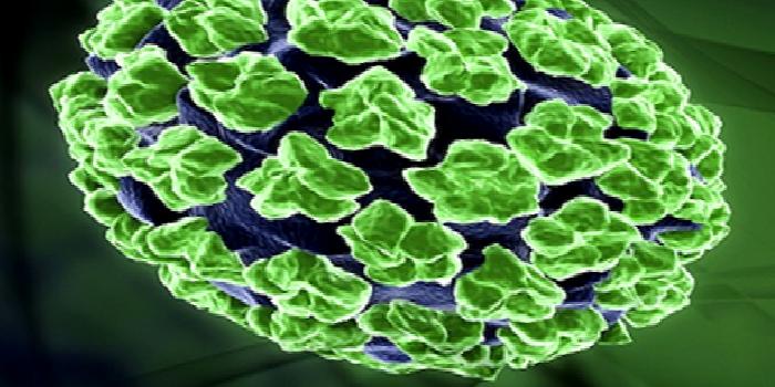 Hpv Enfeksiyonu ve Rahim Ağzı Kanseri Aşılaması