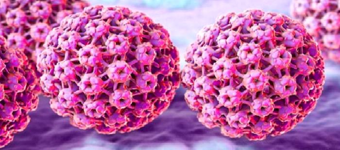 HPV, Genital Siğiller ve Rahim Ağzı Kanseri