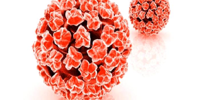 HPV Nedir?