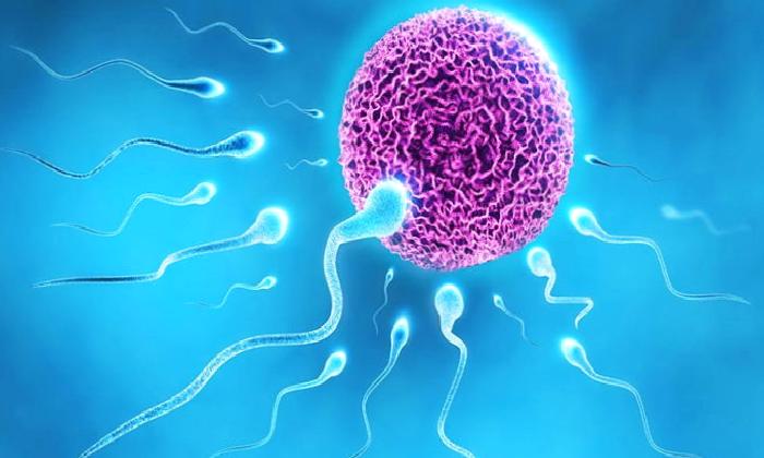 İNFERTİLİTE DE BİLİNÇ ALTI