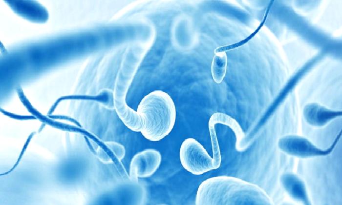 İnfertilite – Kısırlık