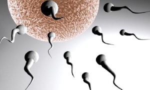 İnfertilite (Kısırlık)