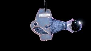 İnsan kalp hücrelerinden otonom biyohibrit balık geliştirildi