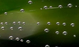 İntiharlara Tedbir Alınabilir mi?