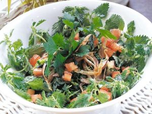 Isırgan Otu Salatası Nasıl Yapılır?