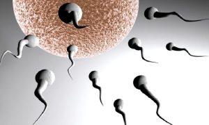 Kadında Kısırlık İle İlgili Sıkça Sorulan Sorular