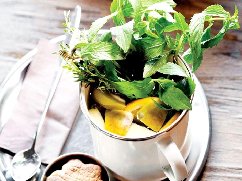 KAHVALTIYA ÖZEL TAZE BİTKİ ÇAYI Nasıl Yapılır?