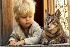 KEDİ VE KÖPEK FOBİSİ