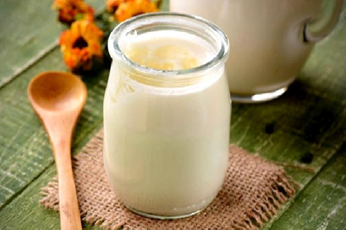 KEFİR VE SAĞLIĞIMIZ