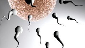 Kısırlık İçin Riskli Durumlar