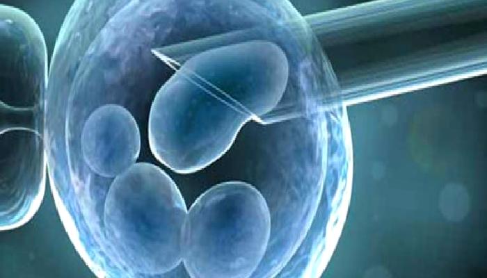 Kısırlık ve Tüp bebek