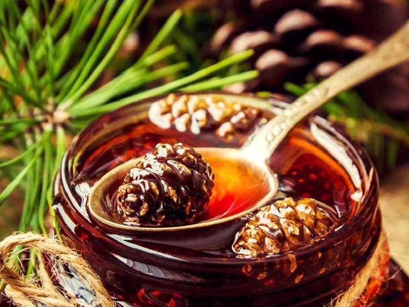 Kozalak Reçeli Nasıl Yapılır?