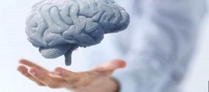 Meditatif Hallerde Beyin Devreleri Nasıldır?