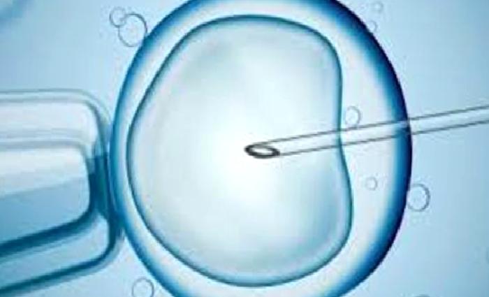 Mikroenjeksiyon (ICSI) İşlemi Nedir?