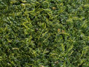 Molehiya Nasıl Yapılır?