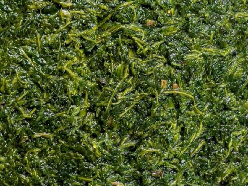 Molehiya Nasıl Yapılır?