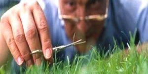 Obsesif Kompulsif Bozukluk