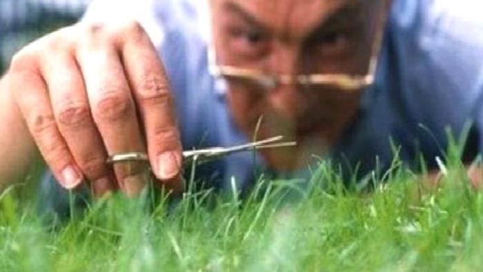 Obsesif Kompulsif Bozukluk (Vesvese-Evham-Temizlik-Takıntı Hastalığı)