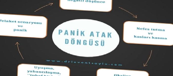Panik Döngüsü