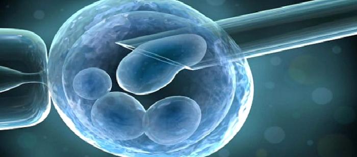 Preimplantasyon Genetik Tanı