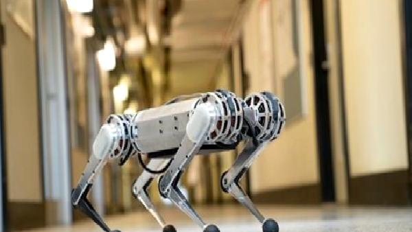 Robot çita yapay zeka ve simülasyonla rekor hıza ulaştı