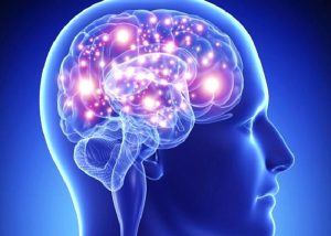 Savunma Mekanizmaları