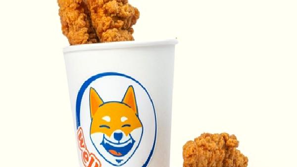 SHIB Temalı Welly, küresel olarak genişlemeyi planlıyor