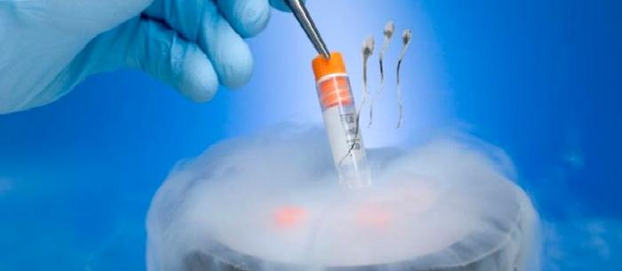 SPERM DONDURMA VİTRİFİKASYON