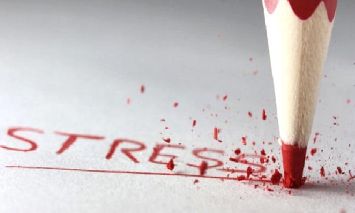 STRES ve STRES YÖNETİMİ