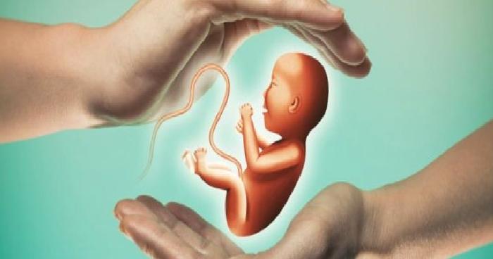 Tüm Bebek Aşamaları Nelerdir?