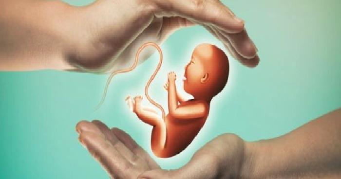 Tüp Bebek Uygulaması