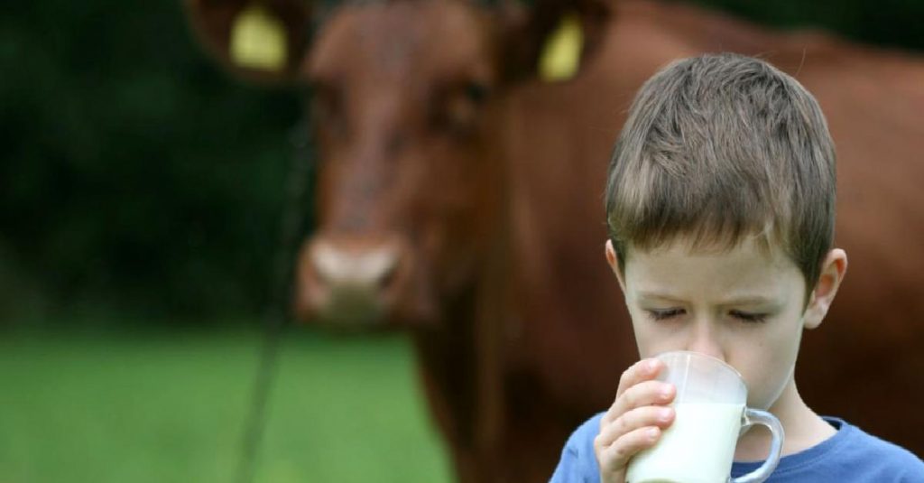 USK çiğ süt tavsiye fiyatını açıkladı