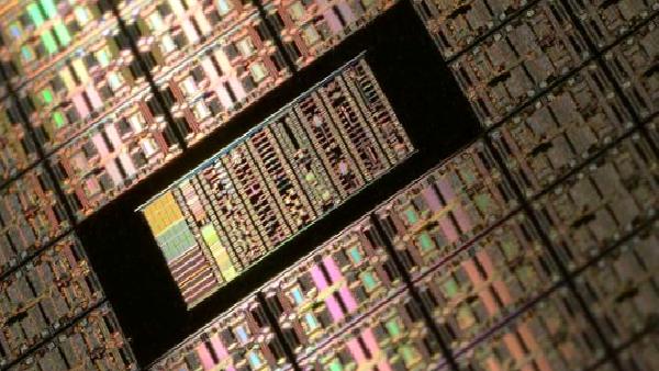 Yonga tasarımcıları inanılmaz gelirler elde ediyor